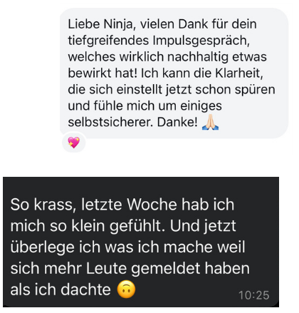 Kundenstimme: „Liebe Ninja, vielen Dank für dein tiefgreifendes Impulsgespräch“